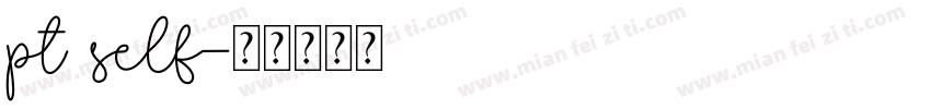 pt self字体转换